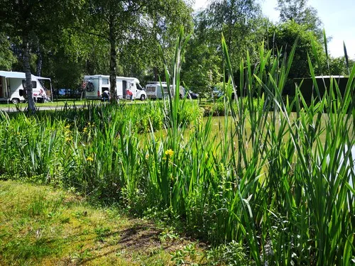 Ferienzentrum-Heidenau 7