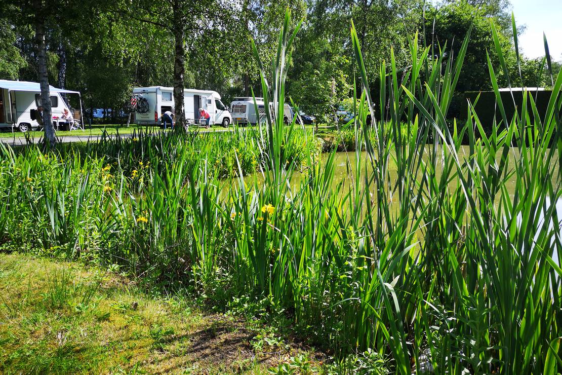 Ferienzentrum-Heidenau 8