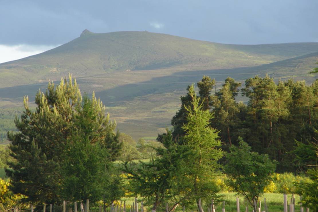 How far from the beach is Feughside Caravan Park?