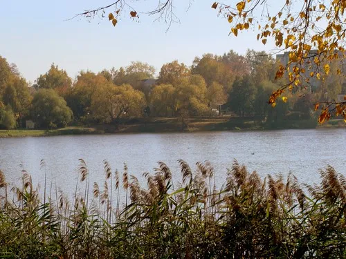 FHU "Leśna" Zbigniew Bączek 6