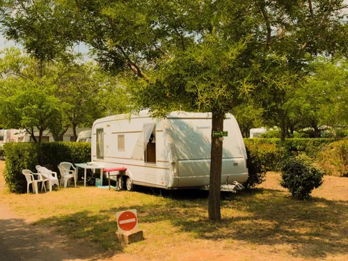 Flower Camping Altea 3