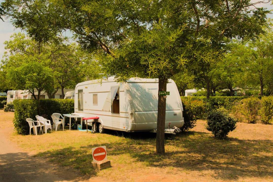 Flower Camping Altea 4