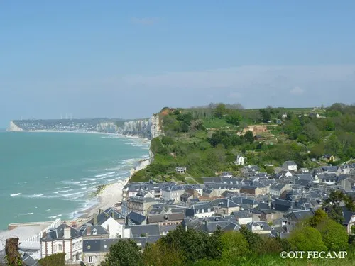 Flower Camping la Chenaie 3