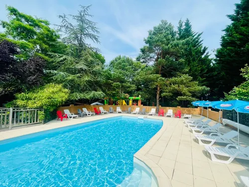 Flower Camping la Pibola 5