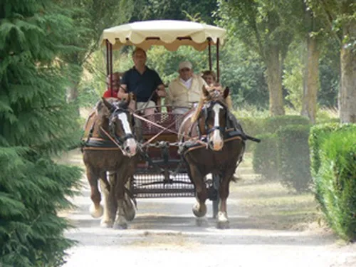 Flower Camping la Promenade 3