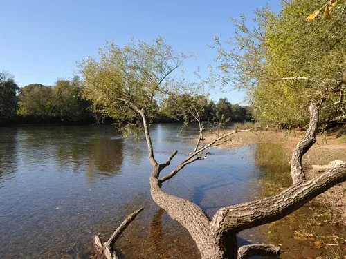 Flower Camping la Sagne 5