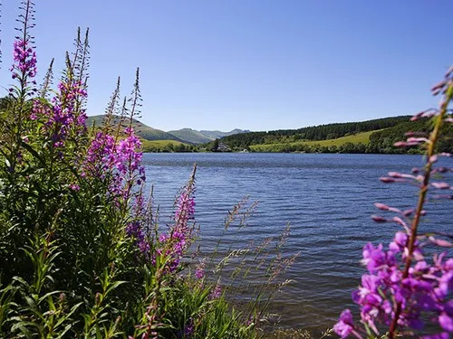 Flower Camping la Vallee Verte 5