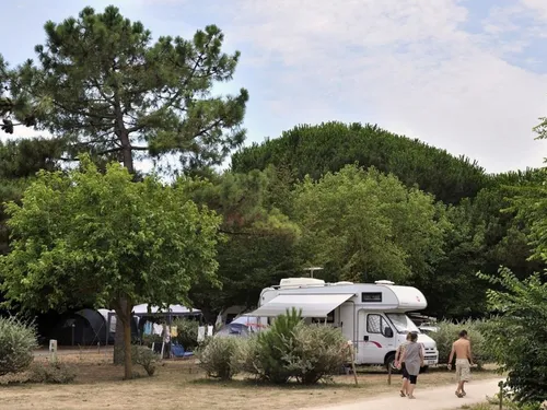 Flower Camping le Bel Air 5