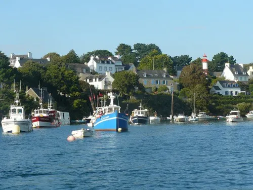 Flower Camping le Kergariou 3