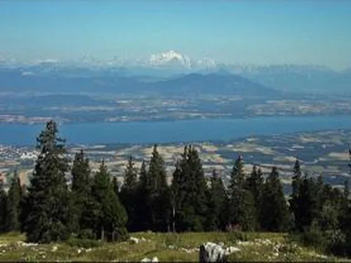 Flower Camping le Martinet 5