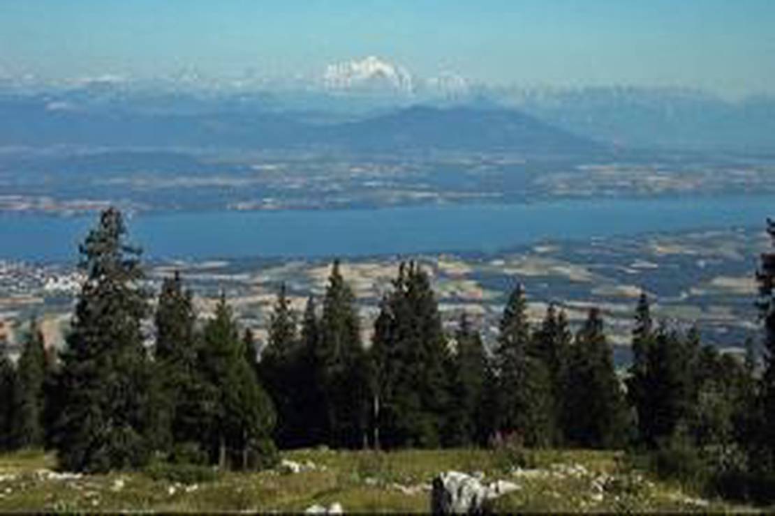 Flower Camping le Martinet 6