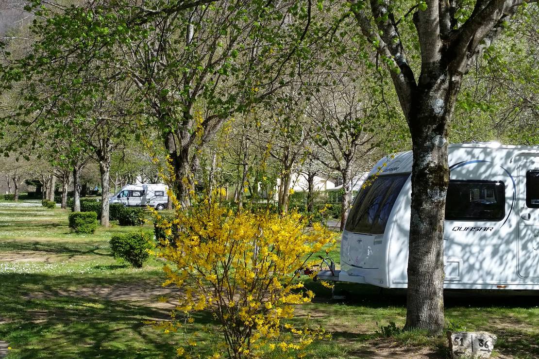 Camping le Pont Du Tarn 10