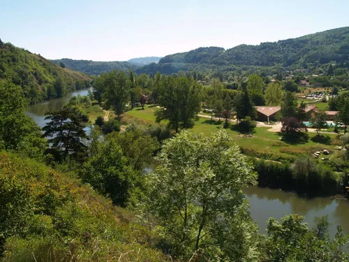 Flower Camping les 3 Ours 3