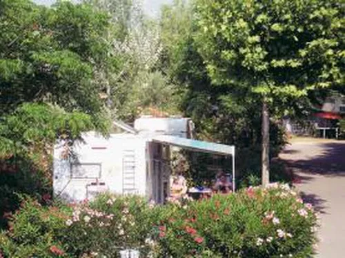 Flower Camping Lou Comtadou 8