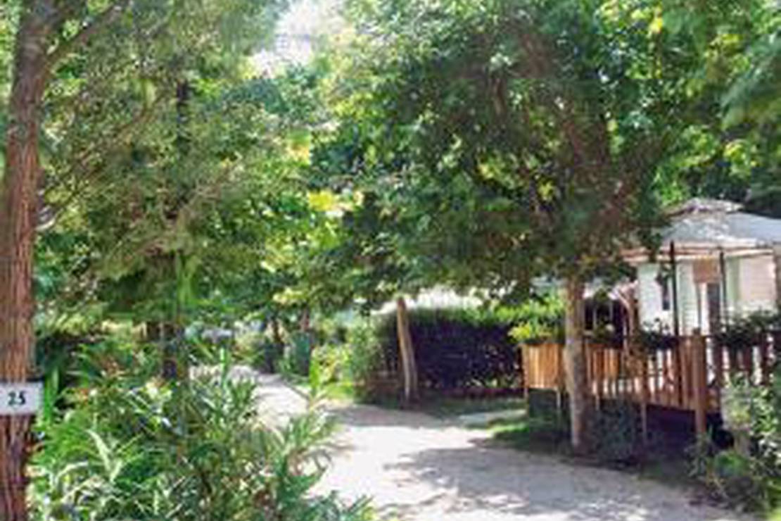 Flower Camping Lou Comtadou 7