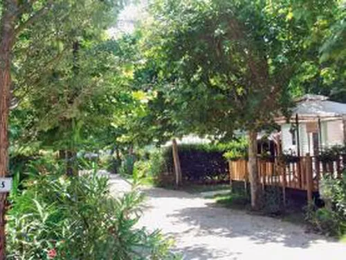 Flower Camping Lou Comtadou 6