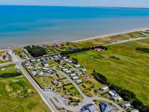 Flower Camping Utah-beach 3