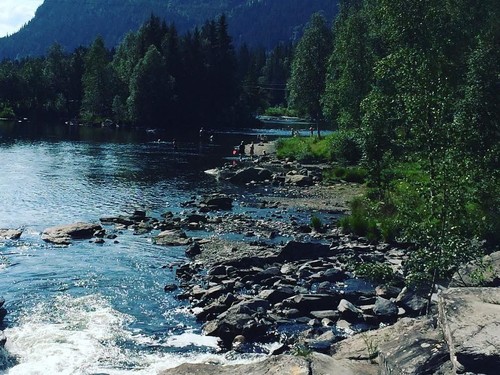 Fossen Camping Fagernes image 2