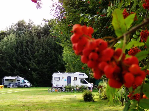 Freizeit- und Campingpark Thräna 7