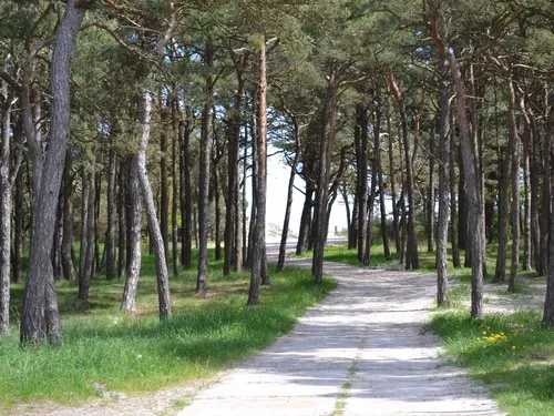 Freizeitcamp Am Wasser 6