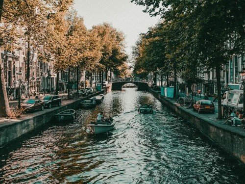 Camperpark Amsterdam image 2