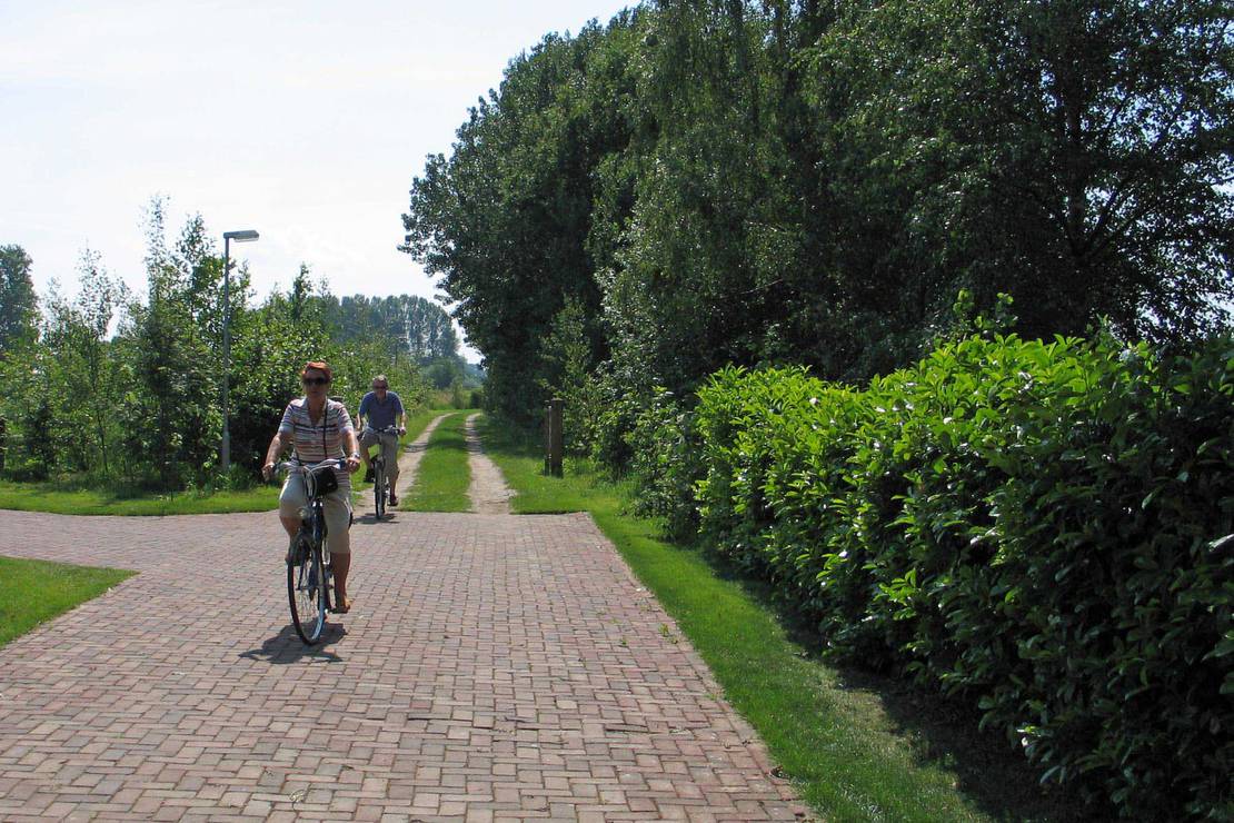 Landschapscamping De Graspol 4