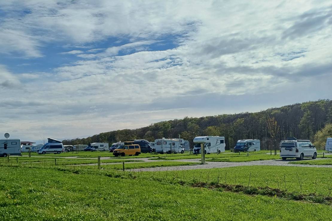 Green Camp Schleierhof 4