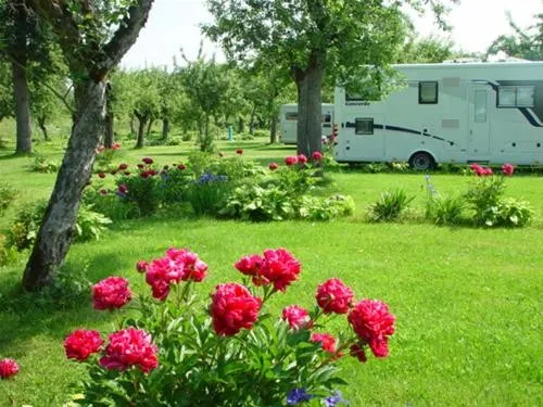 Gutshof Camping Badhütten 4