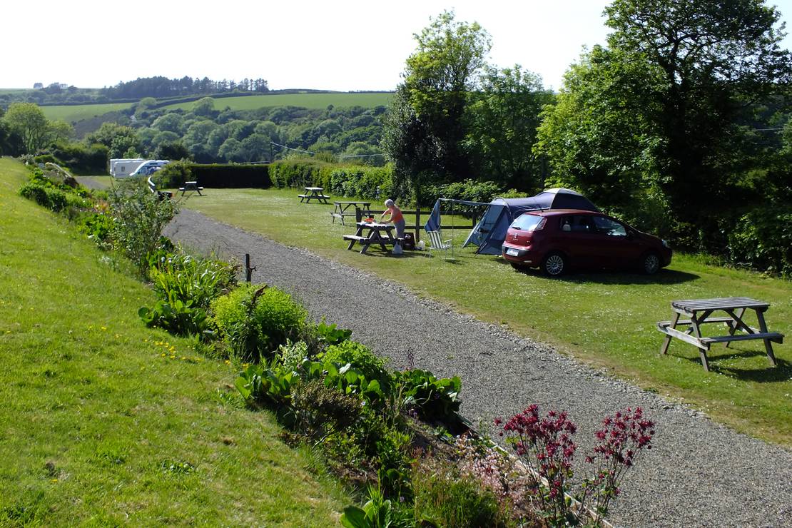 Are dogs allowed at the campsite Gwaun Vale Holiday Touring P.?