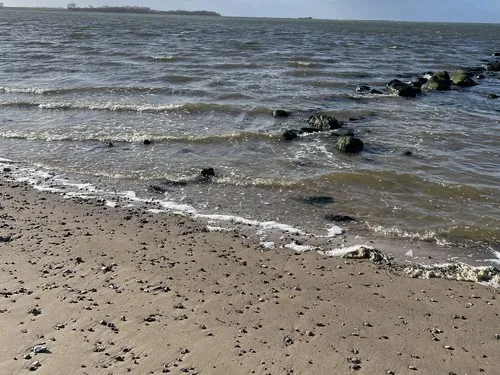 HaffCamp Boiensdorfer Werder 6