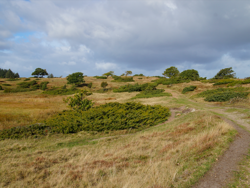 Hedelandets Camping image 1
