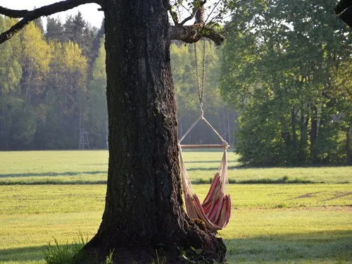 Hedo talu Nature Camping 3