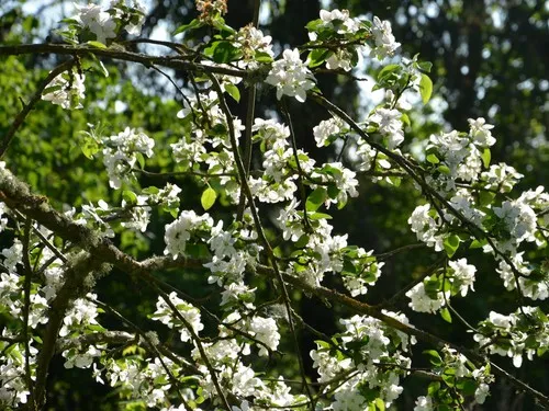 Hedo talu Nature Camping 5