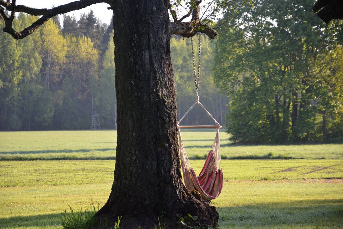 Hedo talu Nature Camping 4