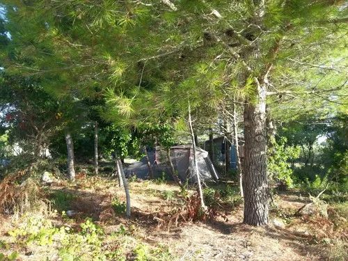 Hestasja-Area Camper 5