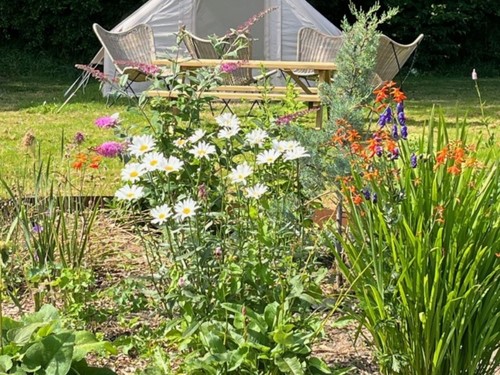 Hestehaven Camping image 2