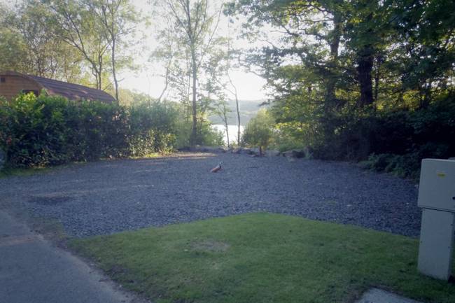 Hill of Oaks and Blakeholme Caravans image 4