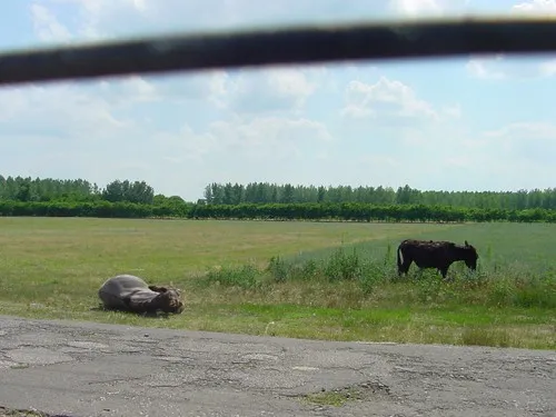 Hongarije Poesta Mini-Camping 5