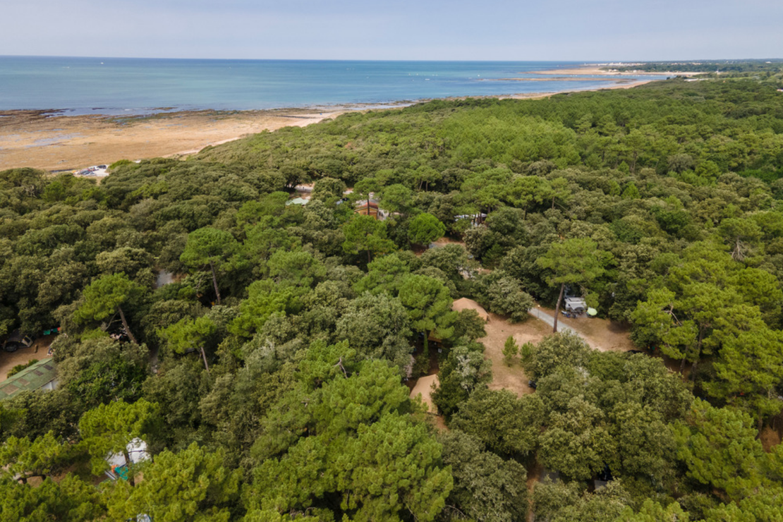 Huttopia Oleron Les Chenes Verts 3