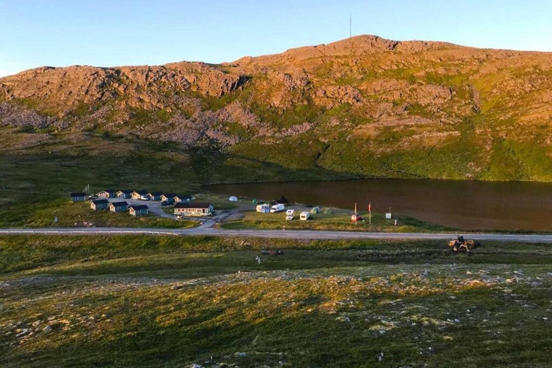 Are dogs allowed at the campsite Hytte Camp Nordkapp?