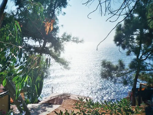 International Village - Camping La Timpa 3