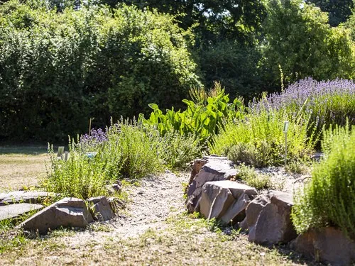 Jugendnaturzeltplatz Wiesbaden 5
