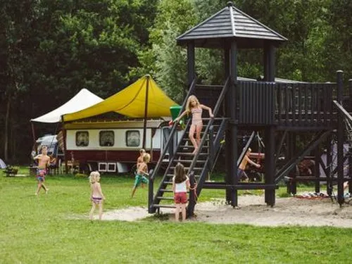 Kampeerterrein de Lievelinge 5