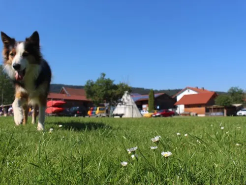 Kanu&Camping Blaibach 5