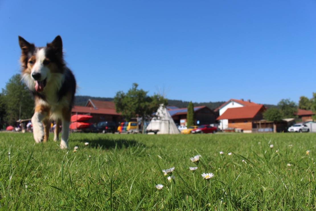 Kanu&Camping Blaibach 6