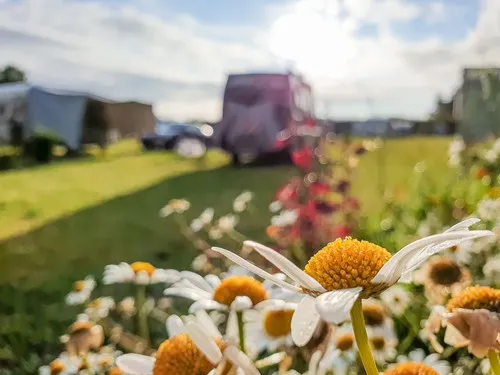 Karkelbeck No. 409 5