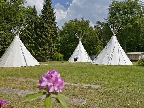 KNAUS Campingpark Bleckede/Elbtalaue**** image 2