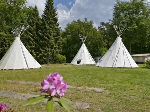 KNAUS Campingpark Bleckede/Elbtalaue**** 5