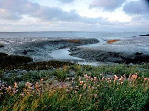 KNAUS Campingpark Eckwarderhörne**** 4