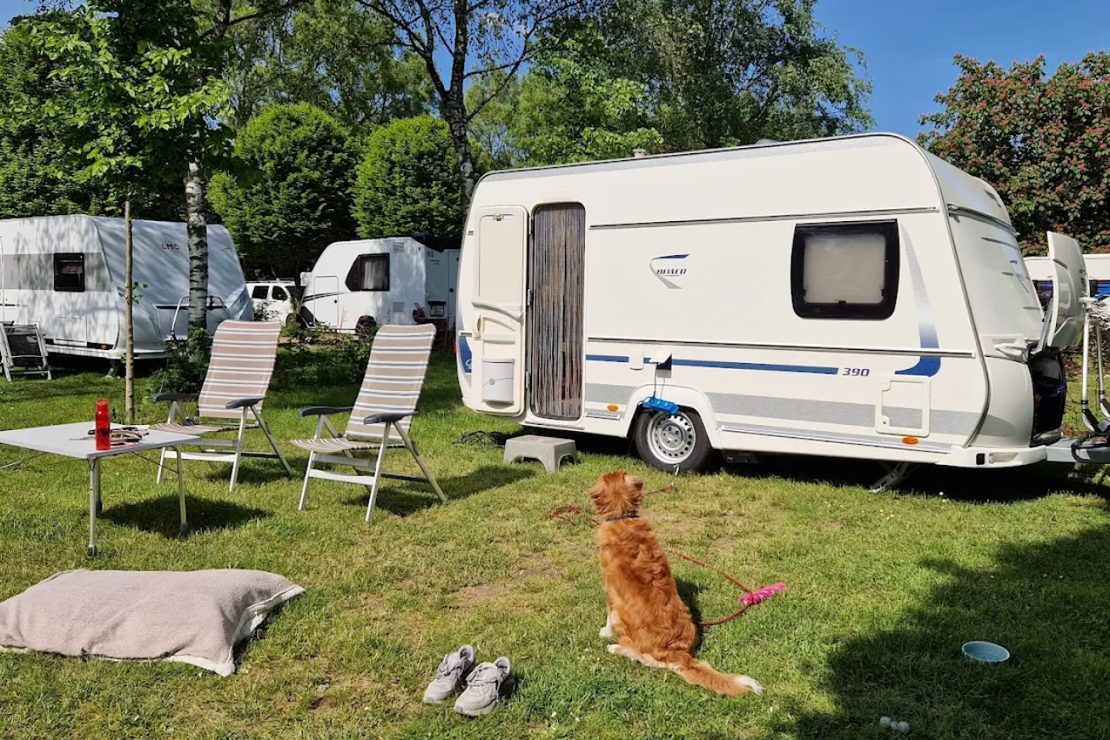 Are dogs allowed at the campsite City-camping Kockelscheuer?